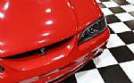 1997 Mustang SVT Cobra Thumbnail 10