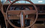 1979 Firebird Thumbnail 12