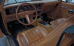 1979 Firebird Thumbnail 11