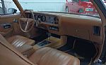 1979 Firebird Thumbnail 25