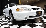 1996 Mustang SVT Cobra Thumbnail 15