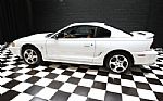 1996 Mustang SVT Cobra Thumbnail 29