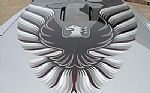 1979 Firebird Trans Am Thumbnail 7