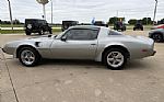 1979 Firebird Trans Am Thumbnail 9
