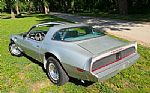 1979 FIREBIRD Thumbnail 4