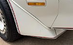 1980 Firebird Trans Am Thumbnail 48