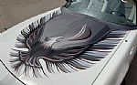 1980 Firebird Trans Am Thumbnail 52