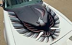 1980 Firebird Trans Am Thumbnail 64