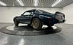 1979 Trans Am Thumbnail 65