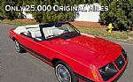 1983 MUSTANG Thumbnail 1