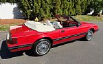 1983 MUSTANG Thumbnail 3