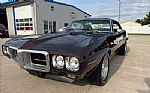 1969 Firebird Thumbnail 11