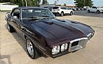 1969 Firebird Thumbnail 17