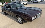 1969 Firebird Thumbnail 75