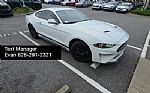 2019 Mustang Thumbnail 1