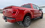 2023 F-150 Thumbnail 6