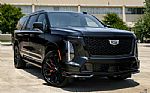 2026 Escalade ESV Thumbnail 25