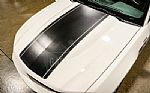 2010 Mustang Thumbnail 24