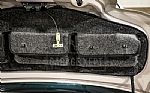 2010 Mustang Thumbnail 97