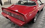 1981 Firebird Thumbnail 8