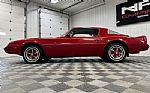 1981 Firebird Thumbnail 11
