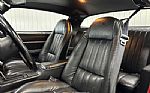 1981 Firebird Thumbnail 24