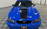 2004 Mustang Coupe Thumbnail 4