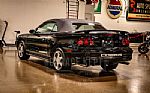1996 Mustang SVT Cobra Thumbnail 6