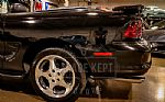1996 Mustang SVT Cobra Thumbnail 49