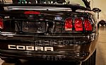 1996 Mustang SVT Cobra Thumbnail 53