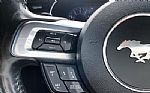 2022 Mustang Thumbnail 21