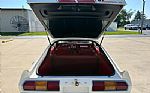 1978 Mustang Cobra Thumbnail 64