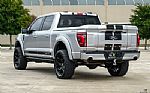 2025 F-150 Thumbnail 11