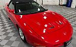 1995 Firebird Thumbnail 10