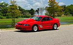 1995 Mustang Thumbnail 13