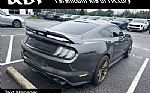 2019 Mustang Thumbnail 3