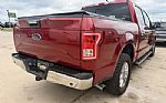2015 F-150 Thumbnail 5