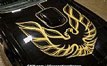 1978 Firebird Thumbnail 15
