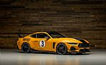 2026 GT350/Trans Am Thumbnail 2