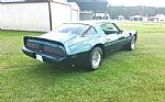 1979 Firebird Trans Am Thumbnail 2