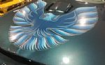 1979 Firebird Trans Am Thumbnail 15