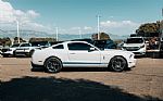 2011 Shelby GT500 Shelby GT500 Thumbnail 8
