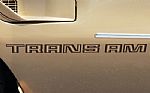 1978 Trans Am Thumbnail 23