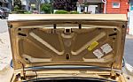 1978 Trans Am Thumbnail 33