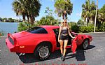 1980 Trans Am Thumbnail 8