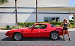 1980 Trans Am Thumbnail 20