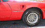 1980 Trans Am Thumbnail 19