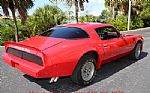1980 Trans Am Thumbnail 75