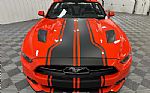 2015 Mustang Thumbnail 7