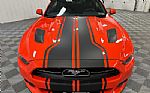 2015 Mustang Thumbnail 8